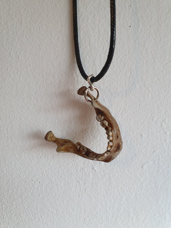 Human Jawbone Necklace Pendant Bone Jewelry Necklace Gothic Human Jawbone Necklace Pendant Bone Jewelry Necklace Gothic