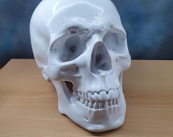 Human Skull. life size anatomical horror prop. 3D printed and hand-painted. Gothic home decor Halloween decoration.
