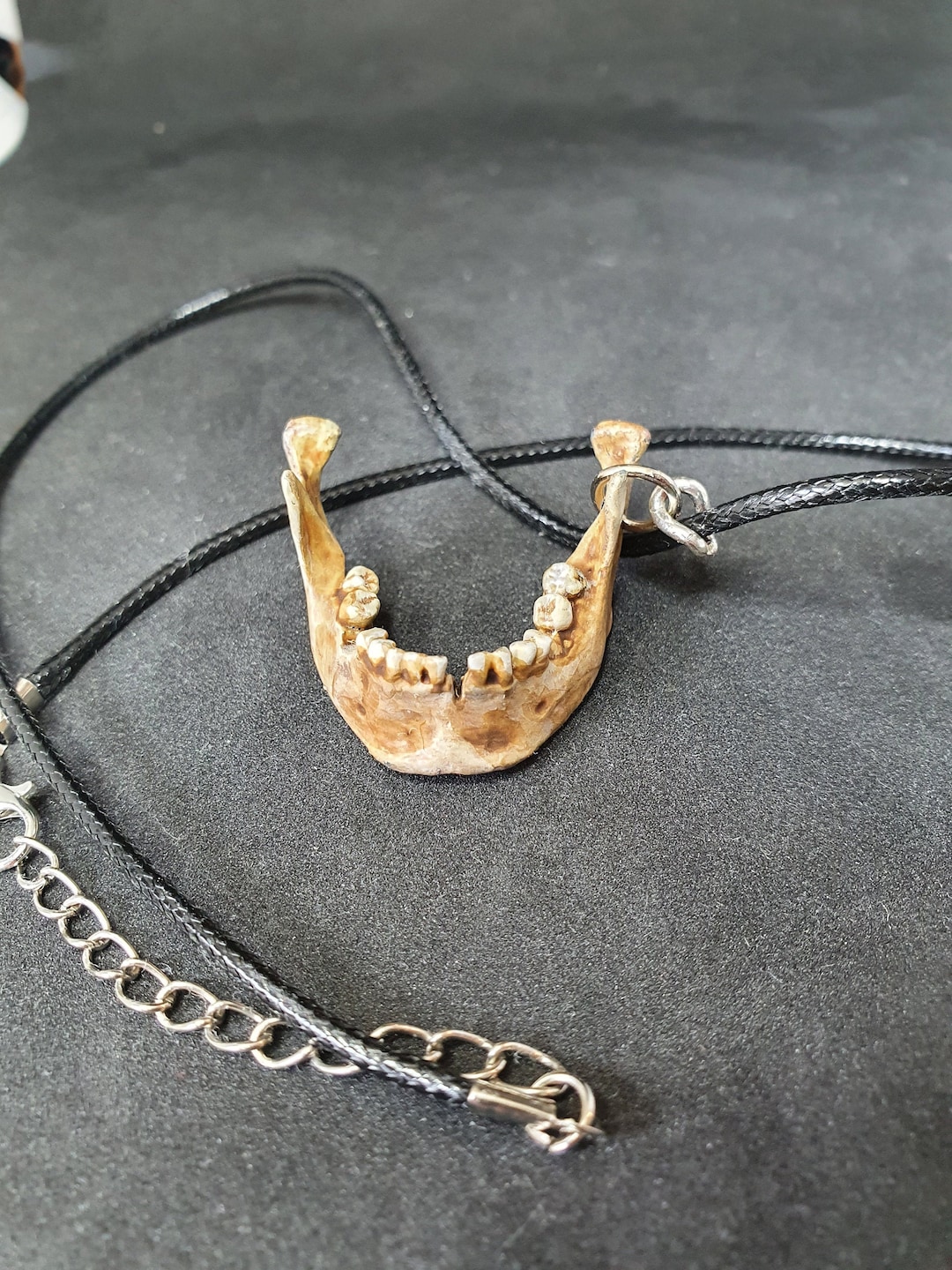 Human Jawbone Necklace Pendant Bone Jewelry Necklace Gothic Human Jawbone Necklace Pendant Bone Jewelry Necklace Gothic