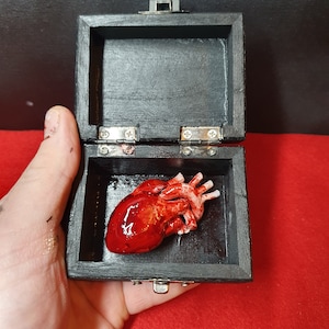 Human Heart in a Box - Valentines gift alternative Gothic oddities gift Macabre Decor The perfect gift for someone who like the strange