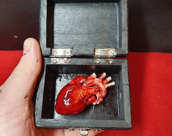 Human Heart in a Box - Valentines gift alternative Gothic oddities gift Macabre Decor The perfect gift for someone who like the strange