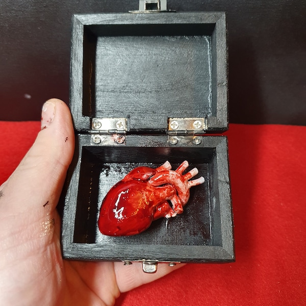 Human Heart in a Box - Valentines gift alternative Gothic oddities gift Macabre Decor The perfect gift for someone who like the strange