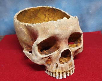 Cuenco con forma de calavera, decoración gótica para el hogar, plato de dulces de terror, centro de mesa de Halloween, utensilios de cocina espeluznantes, regalo único con estética oscura y forma de calavera.