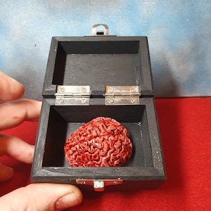 Human brain in a wooden box. Brain Replica in Vintage-Style Wooden Box unique gift or present Human Brain
