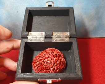 Human brain in a wooden box. Brain Replica in Vintage-Style Wooden Box unique gift or present Human Brain