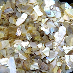 Austernperlen gefärbte Abalone Muschel Chips - Inlay Material für Schmuck, Holzbearbeitung
