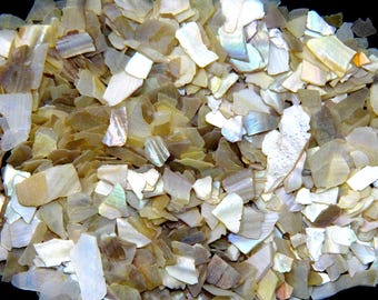 May include: A close-up view of a pile of iridescent, irregularly shaped mother-of-pearl shell pieces. The pieces vary in color, with shades of white, tan, and iridescent hues. The shells have a natural, textured appearance, and the light reflects off the surfaces.