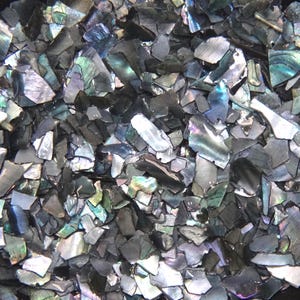 May include: A close-up view of a pile of iridescent abalone shell pieces. The fragments vary in size and shape, displaying a range of colors including black, gray, green, and purple. The surface of the shell pieces reflects light, creating a shimmering effect.