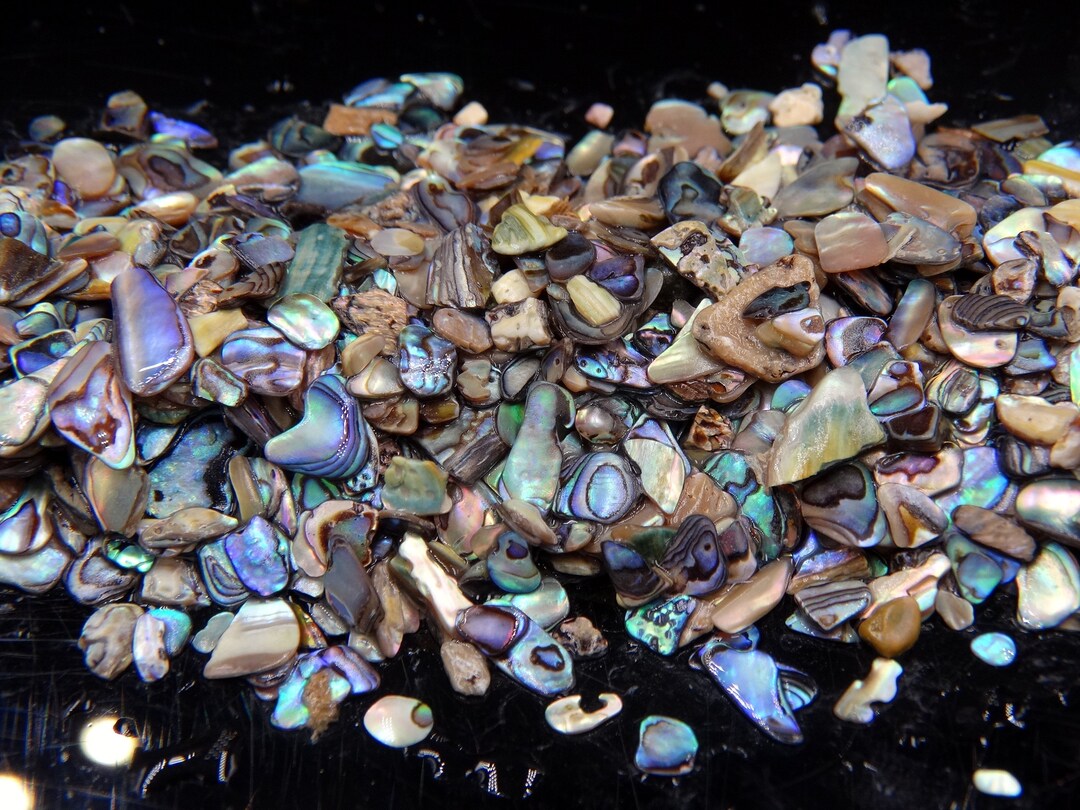 Abalone Paua Shell Inlay: Ring Jewelry, Woodwork, Arts and Crafts - Etsy