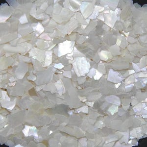 White Pearl Abalone Shell Chips: Ring Inlay, Woodworking, Crafts