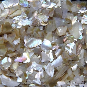 Puede incluir: Primer plano de un montón de fragmentos de concha iridiscentes de forma irregular. Los fragmentos varían en tamaño y tienen un brillo nacarado, reflejando la luz con toques de oro, blanco y azul. Ideal para manualidades.