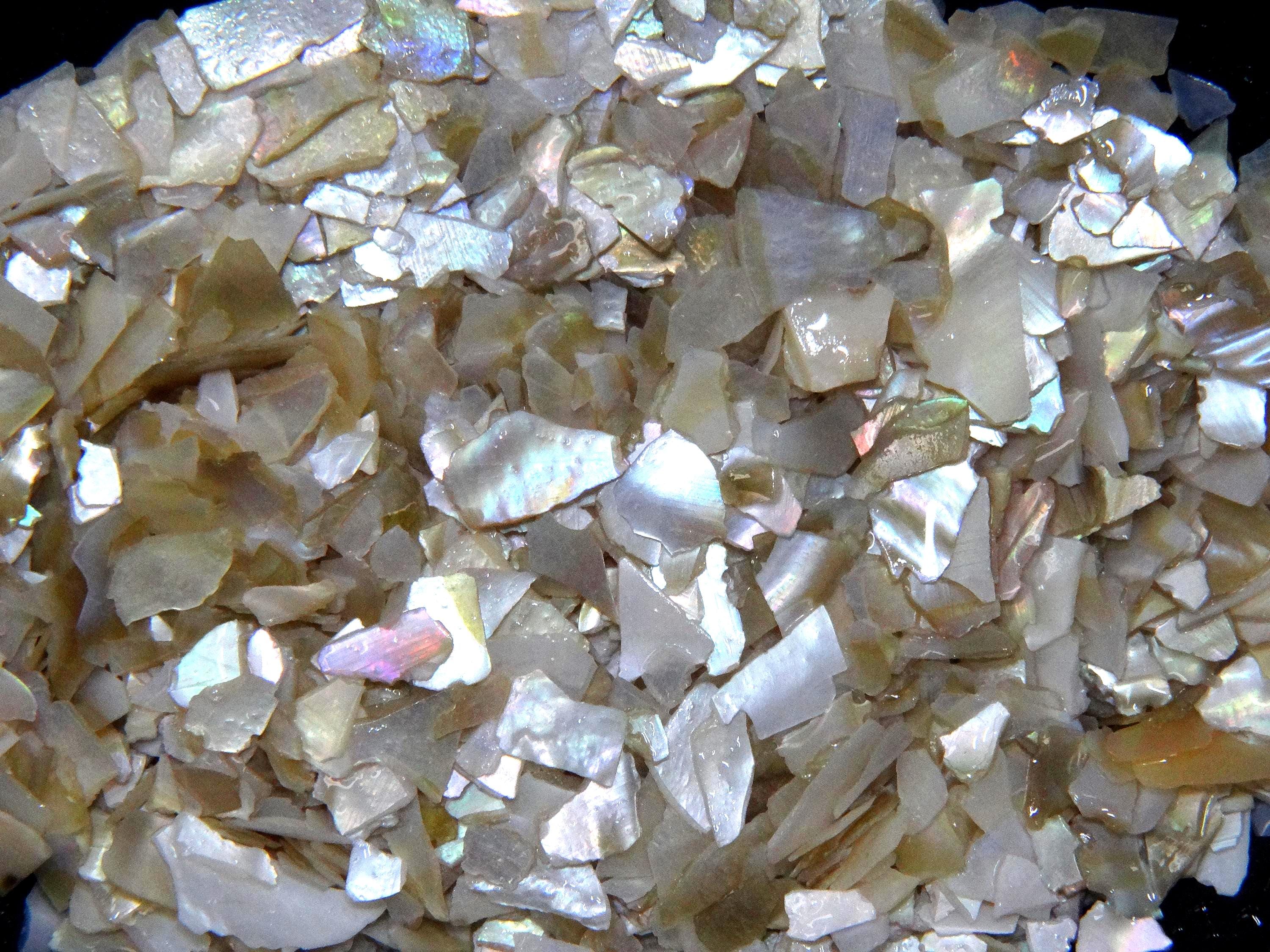Chip Chip Shell Natural Abalone Shell Chips - Inlay Material for Ring Jewelry, Woodwork ...