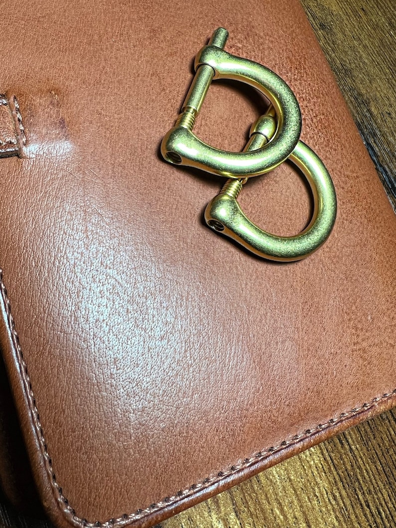 May include: A close-up shot of a brown leather wallet with a gold-colored metal clasp. The clasp is in the shape of two interlocking D-rings. The leather has a textured appearance and is stitched around the edges.