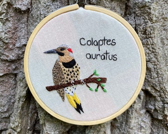 Northern Flicker Embroidery Hoop || Woodpecker Embroidery || Handmade Artwork || Gifts for Bird Enthusiasts