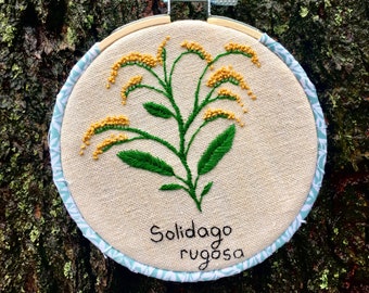 Goldenrod Embroidery Hoop || Handmade Botanical Artwork