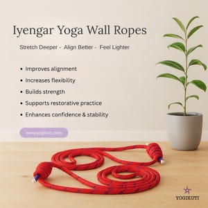 Iyengar Yoga Wall Ropes Set | Cotton Blend, Studio Props for Inversion Support, Stretching & Balance image 6
