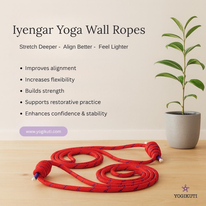 Iyengar Yoga Wall Ropes Set | Cotton Blend, Studio Props for Inversion Support, Stretching & Balance image 6