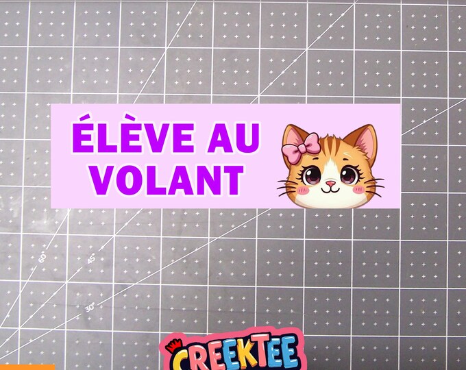 Eleve Au Volant Bumper Sticker, Magnet or Window Cling in Various Sizes Choose 10" for Standard Size