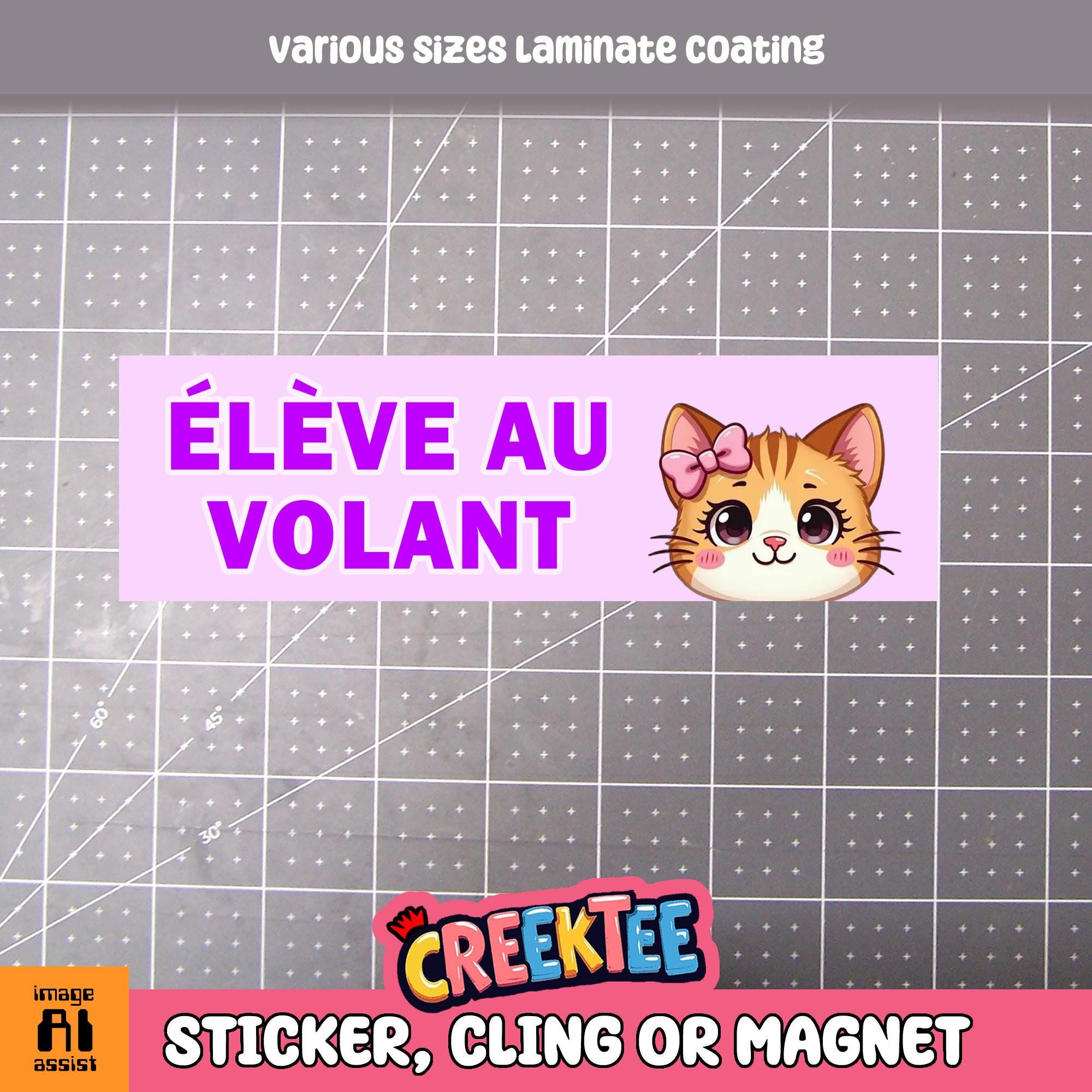 Eleve Au Volant Bumper Sticker, Magnet or Window Cling in Various Sizes Choose 10
