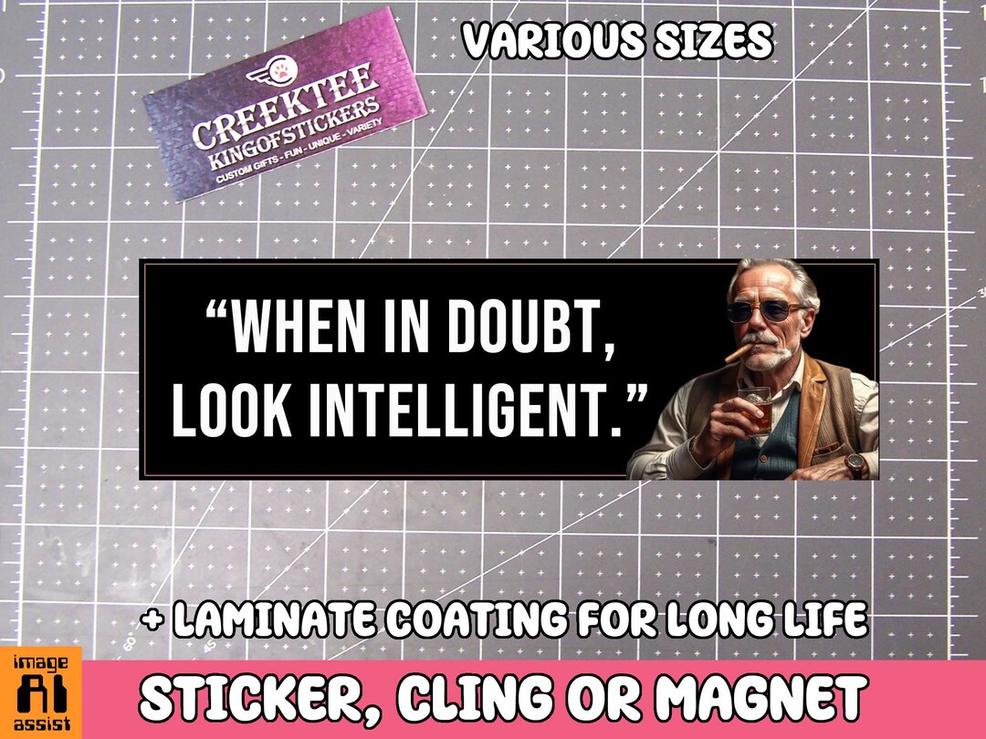 Funny Meme Bumper Sticker, Window Cling or Magnet in UV Laminate ...