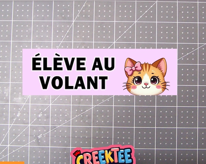 Eleve Au Volant Bumper Sticker, Magnet or Window Cling in Various Sizes Choose 10" for Standard Size