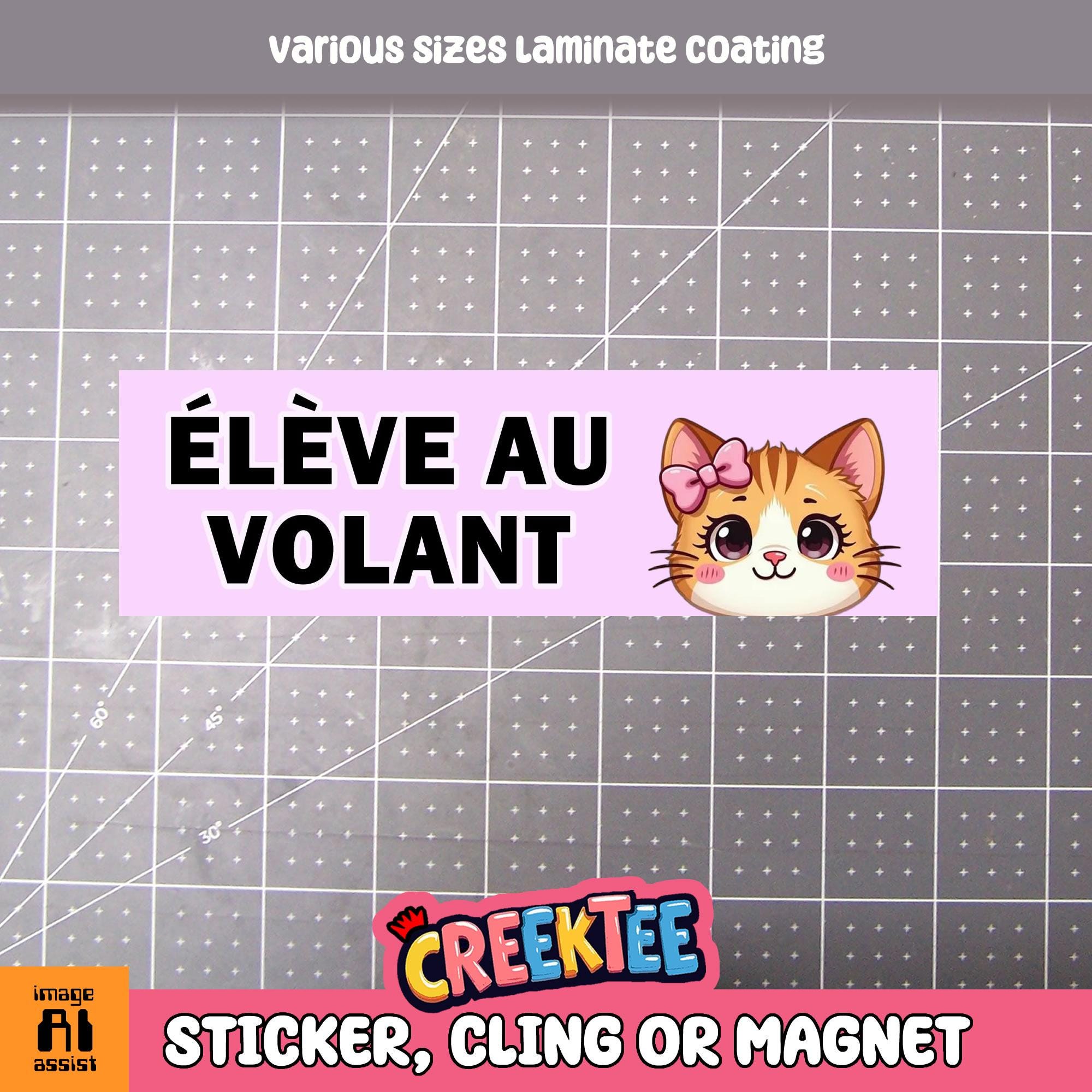 Eleve Au Volant Bumper Sticker, Magnet or Window Cling in Various Sizes Choose 10