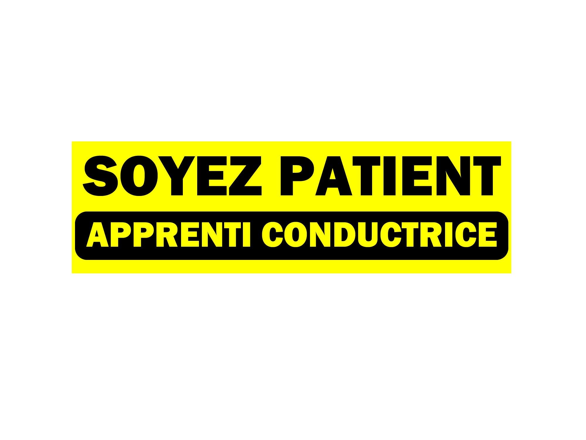Soyez patient, apprenti conductrice Bumper Sticker, Magnet or Window Cling in Various Sizes Choose 10