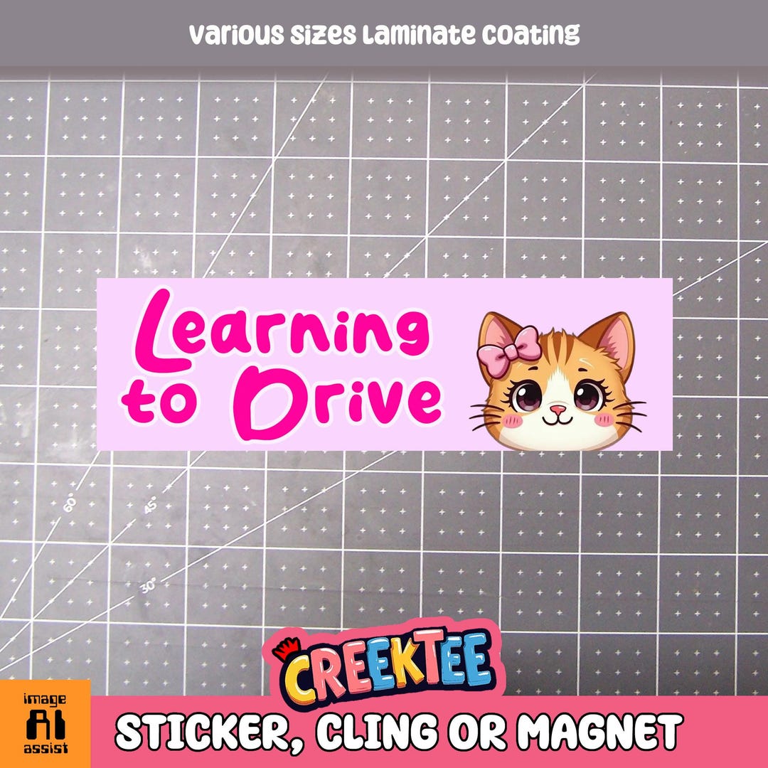 Learning to Drive Bumper Sticker, Magnet or Window Cling in Various ...
