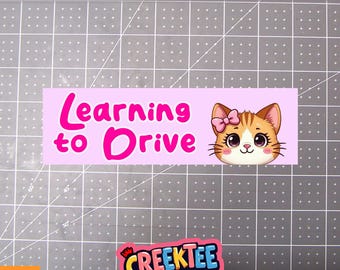 Learning To Drive Bumper Sticker, Magnet or Window Cling in Various Sizes Choose 10" for Standard Size
