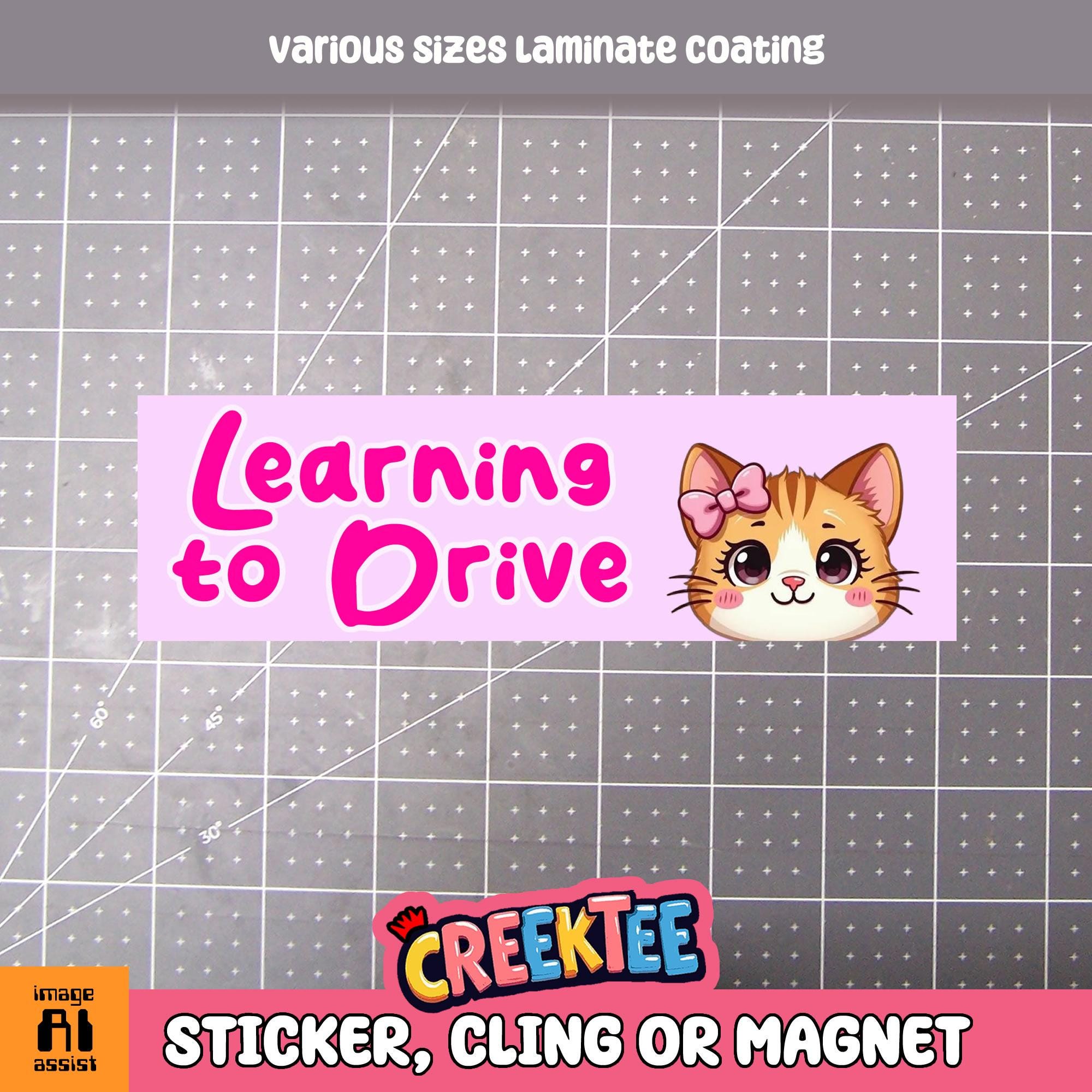 Learning To Drive Bumper Sticker, Magnet or Window Cling in Various Sizes Choose 10