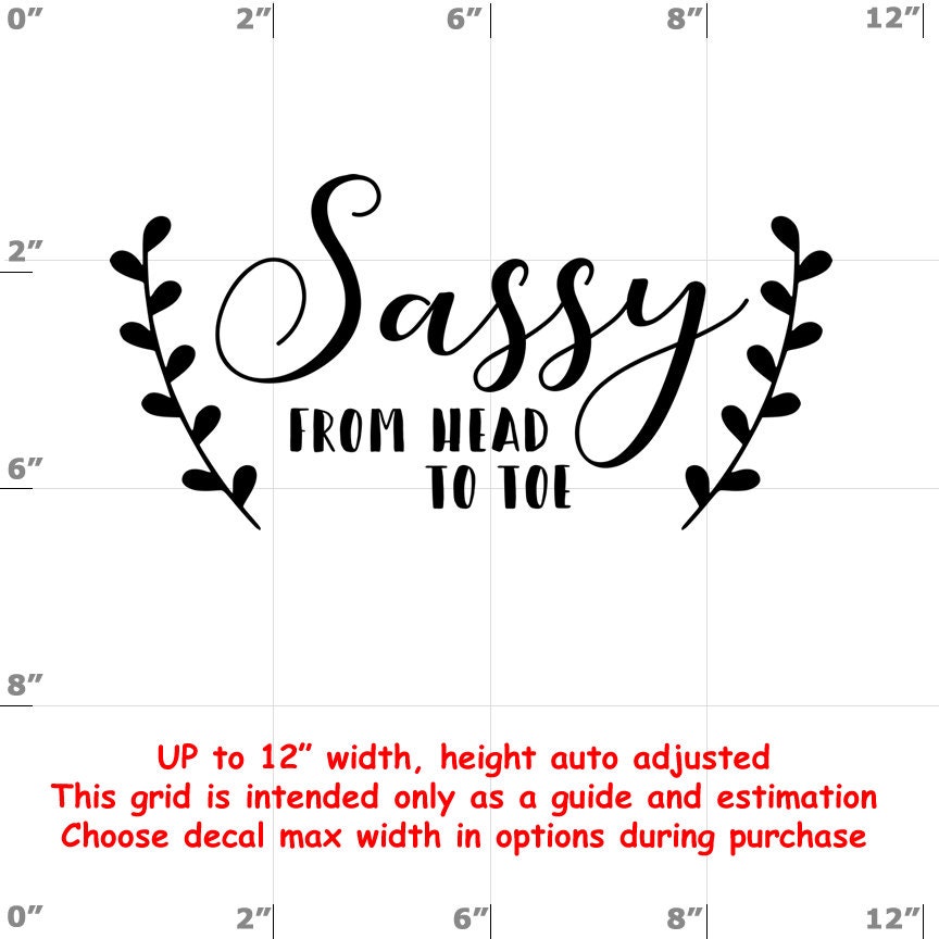 Sassy vinyl decal Sassy vinyl decal