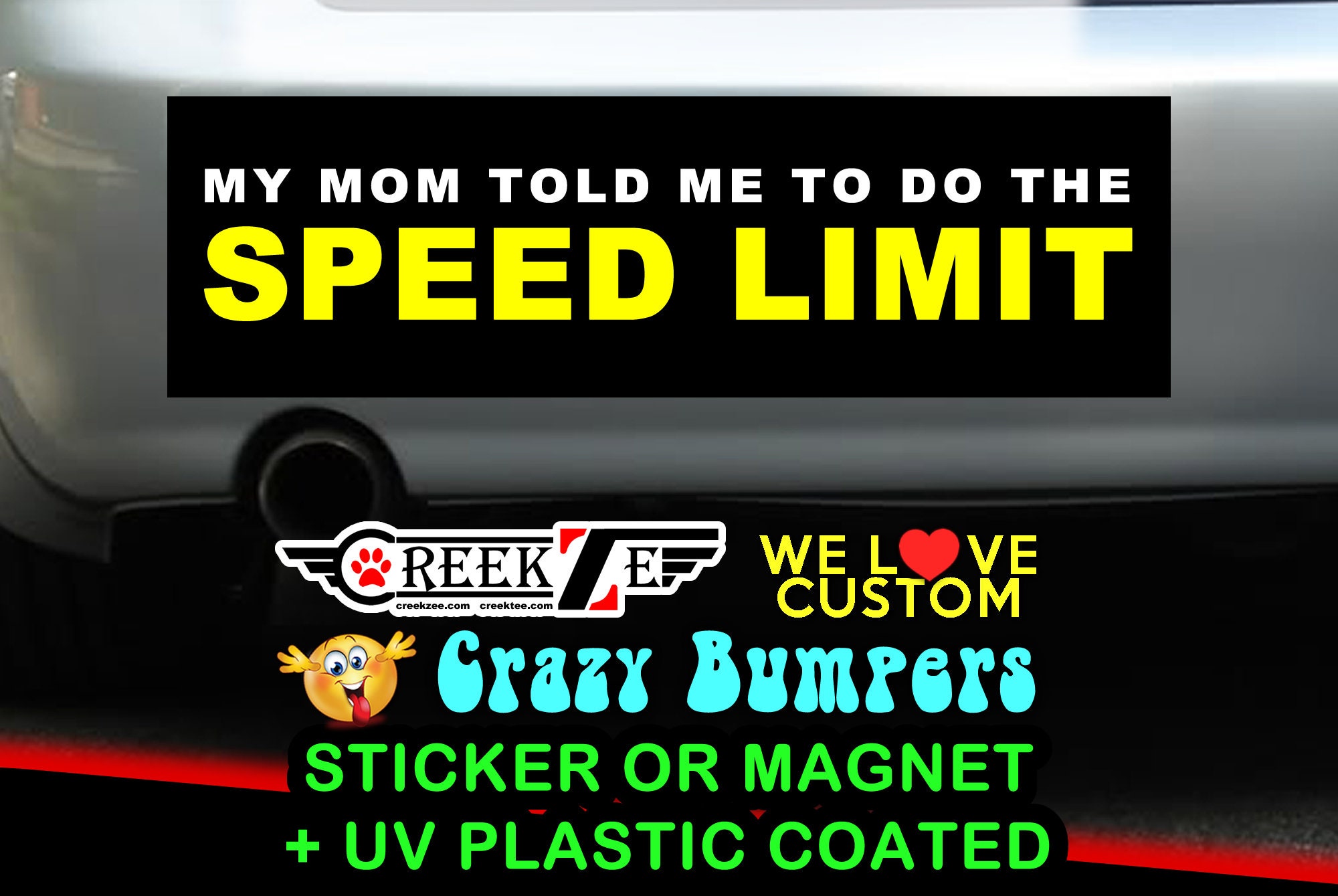 My Mom Told Me To Do The Speed Limit Bumper Sticker or Magnet 4