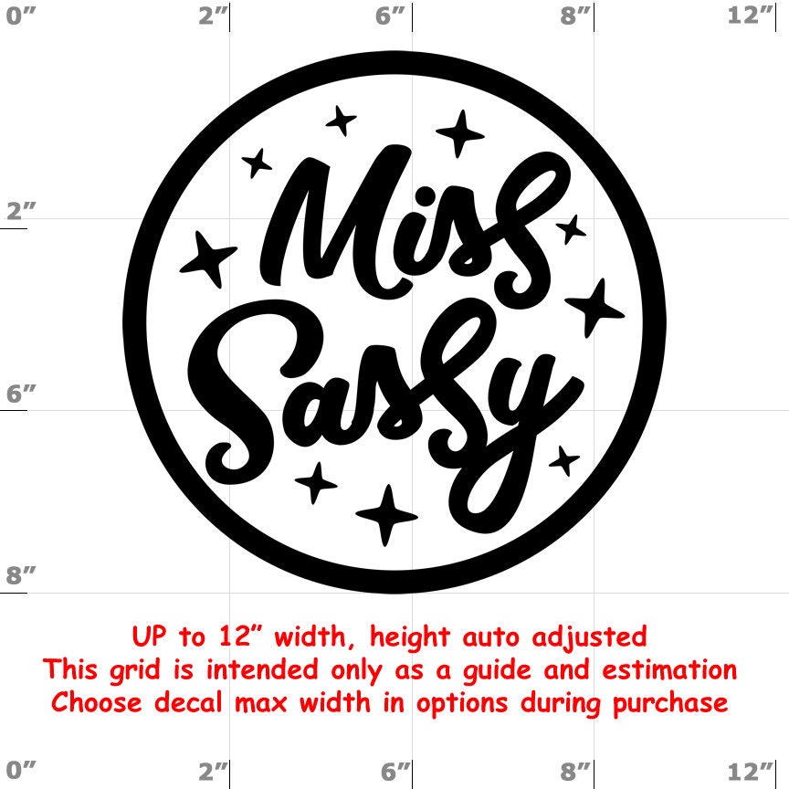 Sassy vinyl decal Sassy vinyl decal