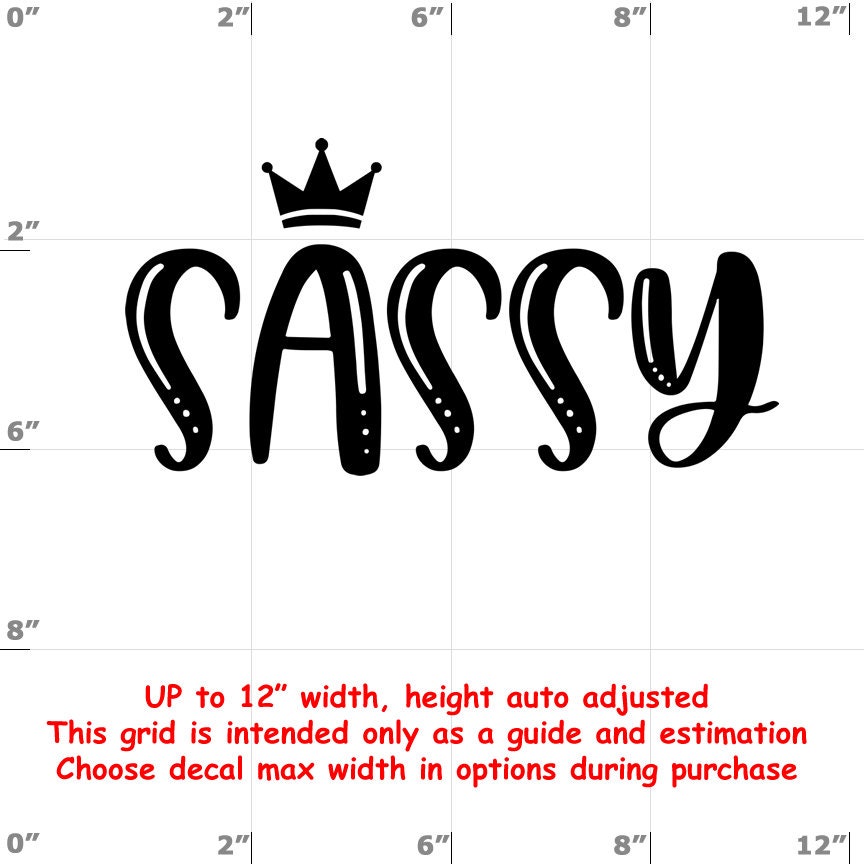 Sassy vinyl decal Sassy vinyl decal