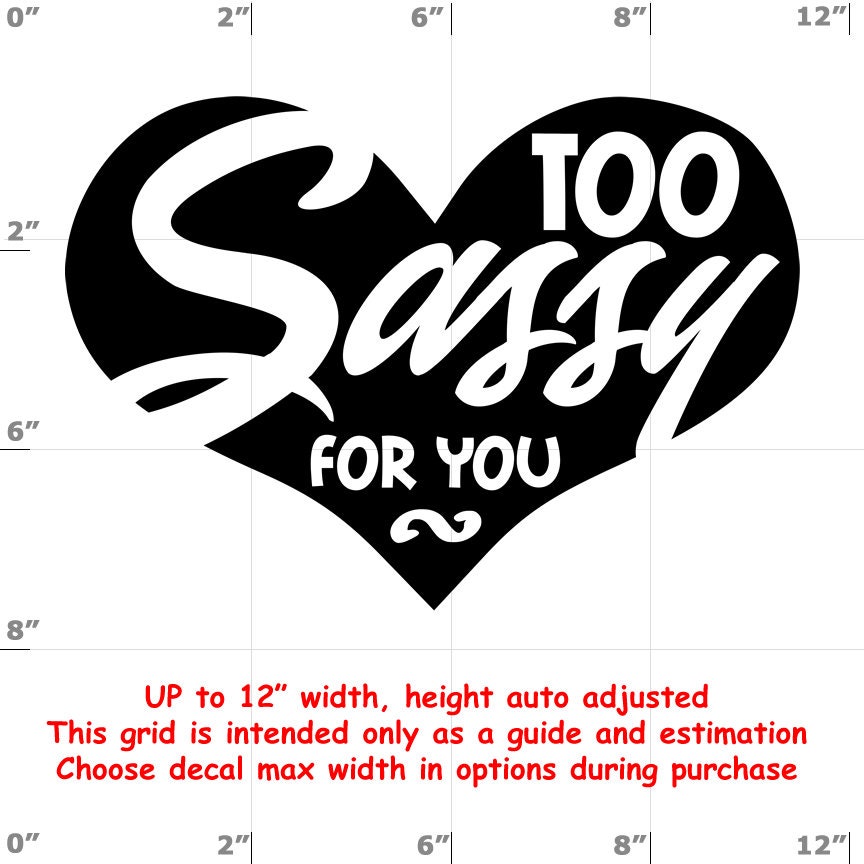 Sassy vinyl decal Sassy vinyl decal