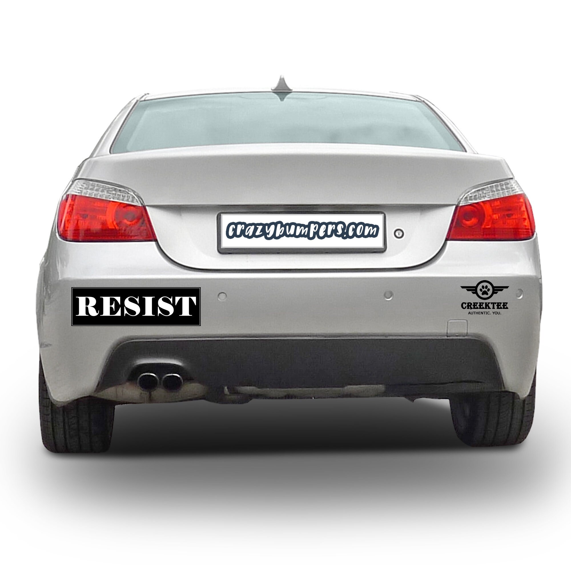 Resist 10 x 3 Bumper Sticker - Custom changes and orders welcomed! Resist 10 x 3 Bumper Sticker - Custom changes and orders welcomed!