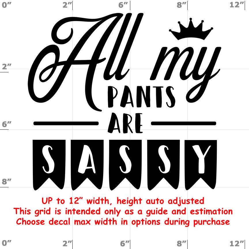 Sassy vinyl decal Sassy vinyl decal