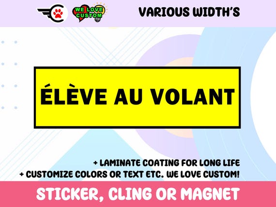 BkeeCten Lot De 12 Autocollants Magnétiques Amusants Pour Pare-chocs De Voiture - Pour Adulte - Imperméables - Réutilisables - Pour Voiture, Camion