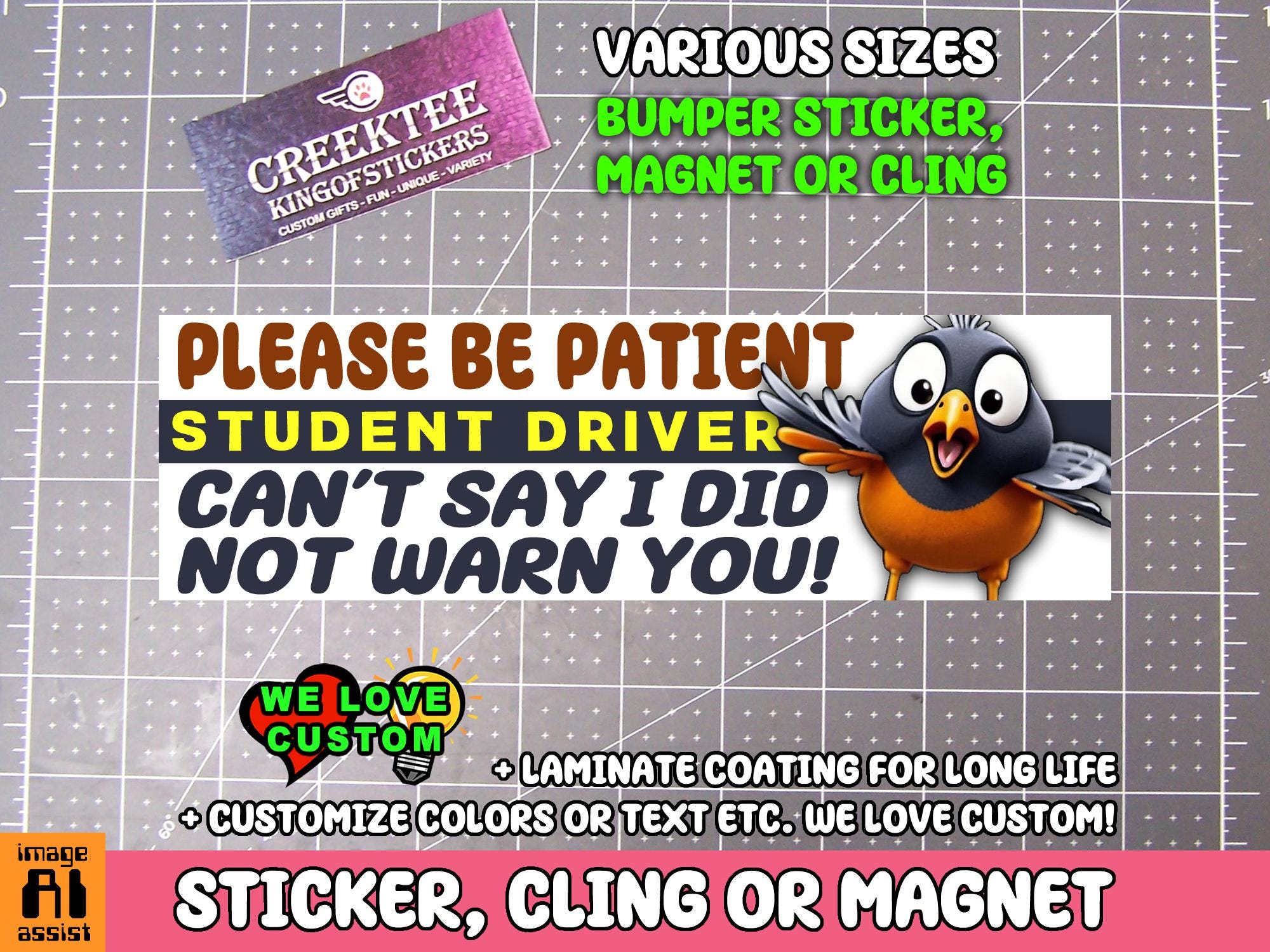Please Be Patient Student Driver Bumper Sticker, Magnet or Window Cling in Various Sizes Choose 10