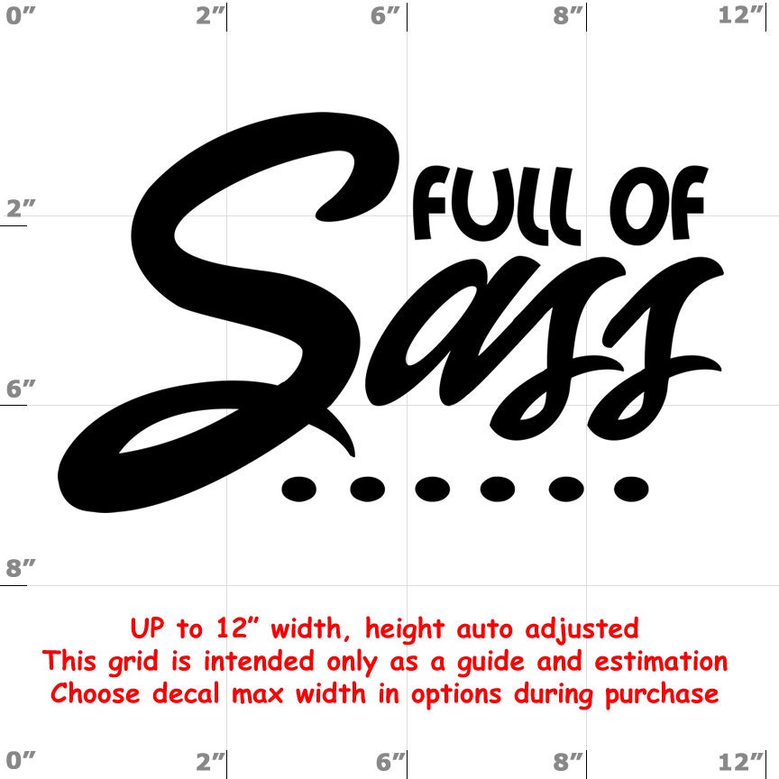 Sassy vinyl decal Sassy vinyl decal