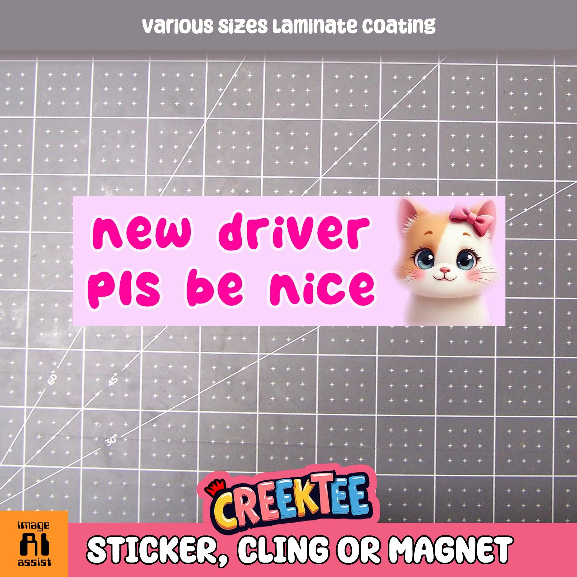 New Driver Pls Be Nice Cute Bumper Sticker, Magnet or Window Cling in Various Sizes Choose 10