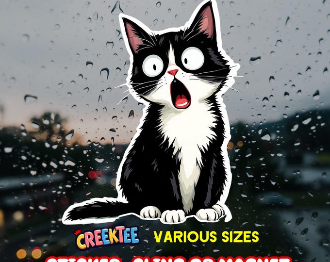 Cute Funny Curious Cat Canada Bumper Sticker, Magnet, Vinyl Sticker, Window Cling, UV Laminate, laptop, water bottle