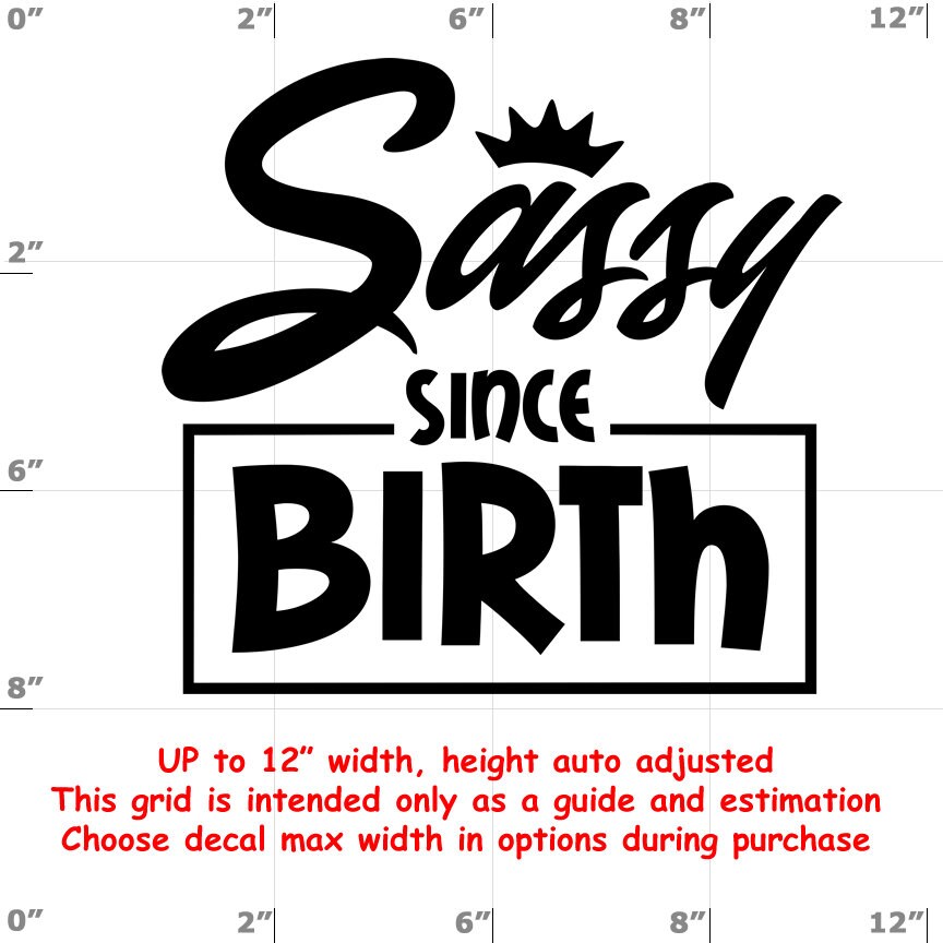 Sassy vinyl decal Sassy vinyl decal