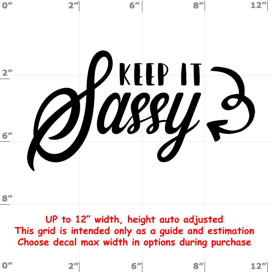Sassy vinyl decal Sassy vinyl decal