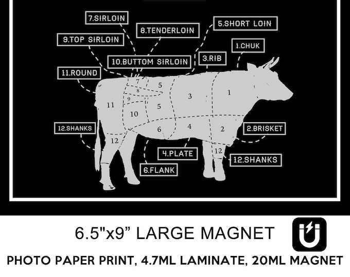 Beef Cut Chart Magnet, Sticker or Window Cling - 6.5 inches by 9 inches