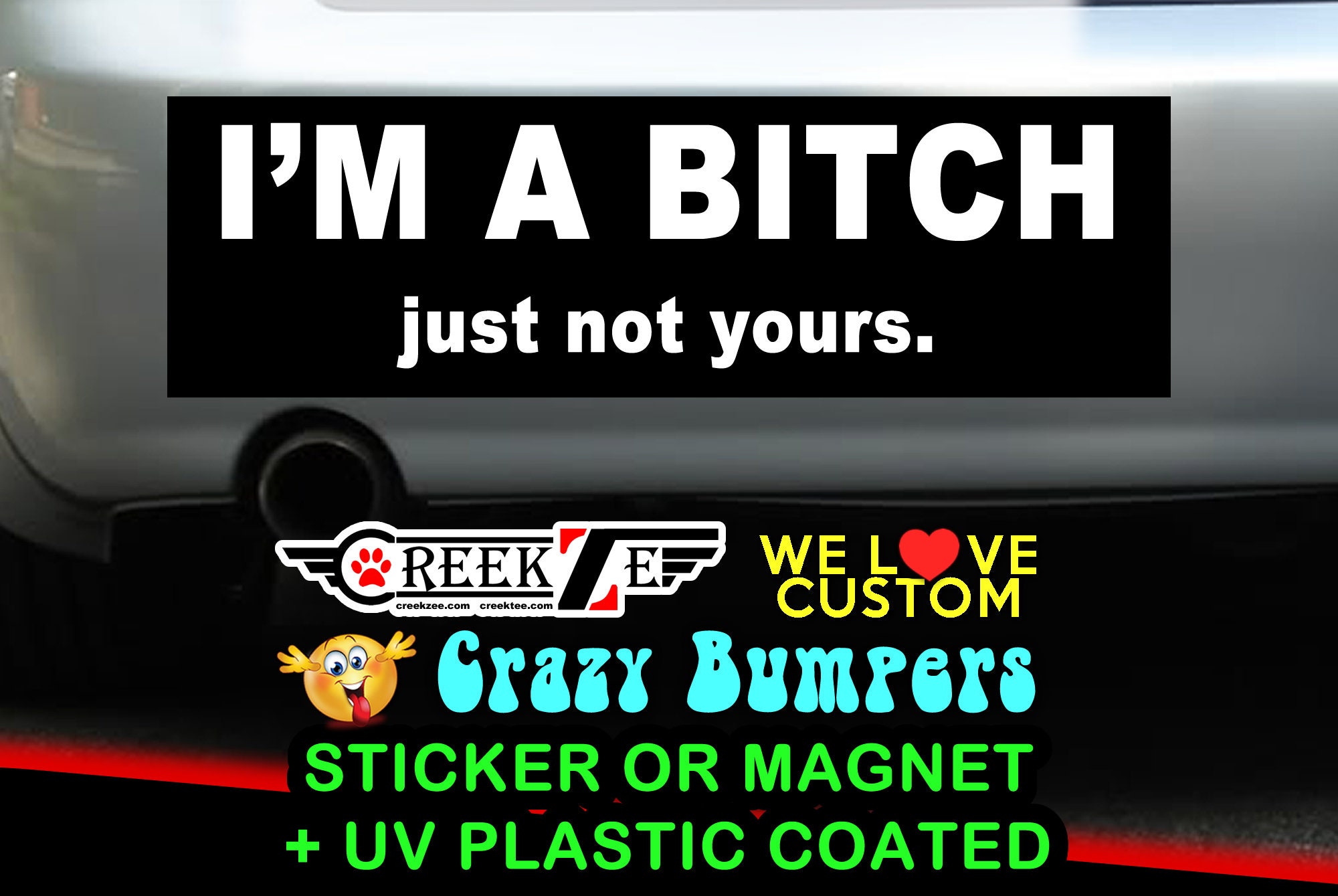 I'm A Bitch Just Not Yours Bumper Sticker or Magnet, various sizes available!