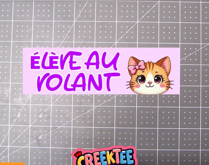 Eleve Au Volant Bumper Sticker, Magnet or Window Cling in Various Sizes Choose 10" for Standard Size