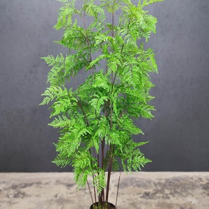 Puede incluir: Una planta de helecho artificial con hojas verdes brillantes y tallos marrones oscuros. La planta está en una maceta negra llena de musgo verde. El helecho es un elemento decorativo para interiores. Altura aproximada 120 cm.