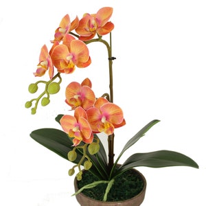 May include: A potted artificial orchid plant with orange and pink flowers. The plant has green leaves and is in a brown terracotta pot.