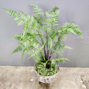 Artificial tree,artificial plant, Artificial Fern tree